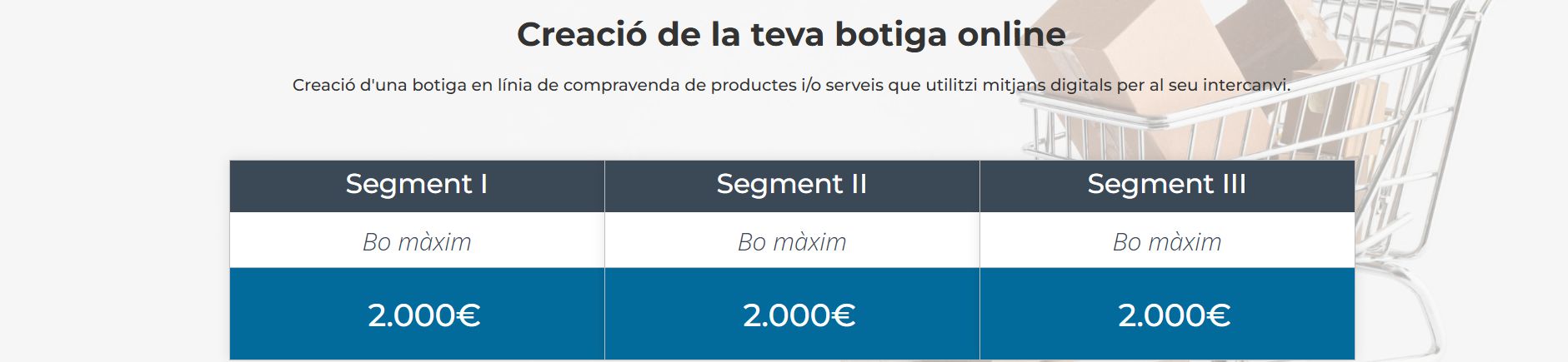 categoria Comerç Electrònic