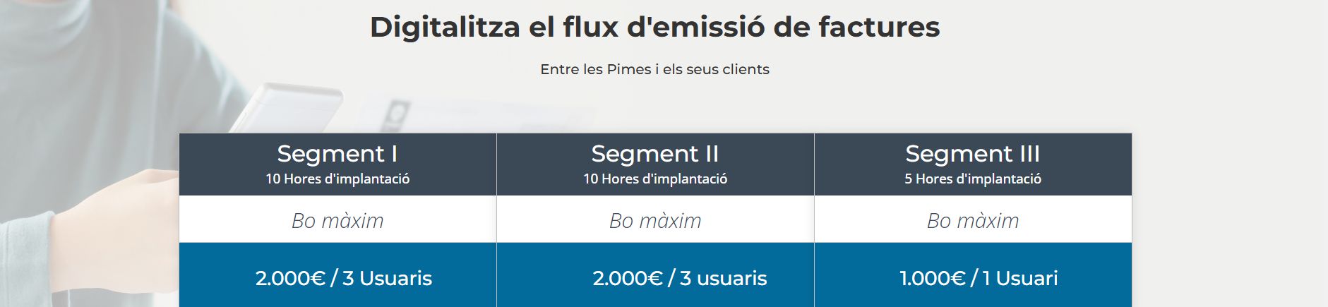 categoria Factura Electrònica