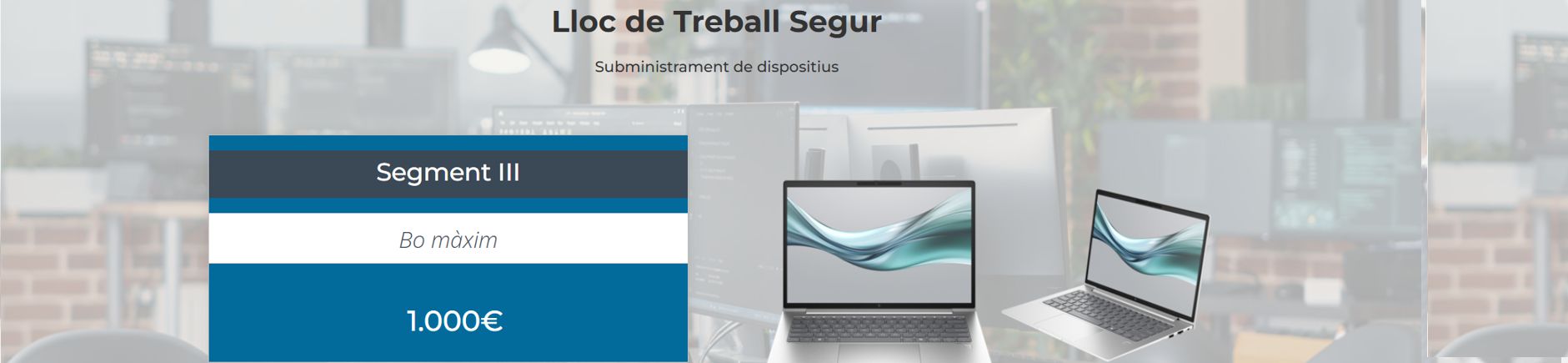 categoria Lloc de treball segur