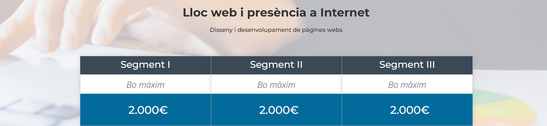 categoria Lloc web i Presencia basica a internet