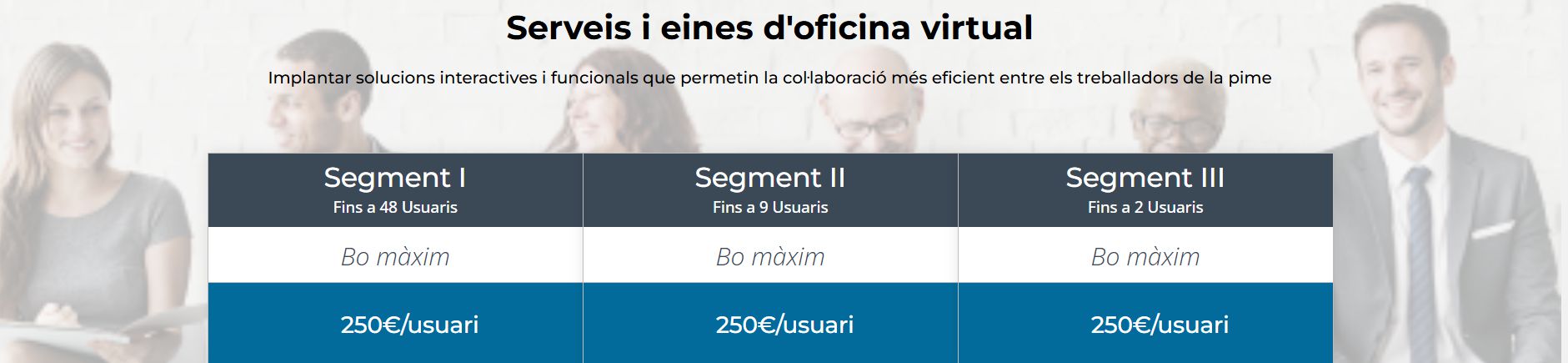 categoria Serveis Eines d'Oficina Virtual