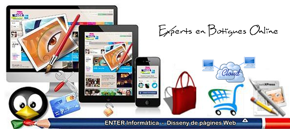 Disseny Web Image